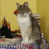 Отзыв от Елизавета Морозова